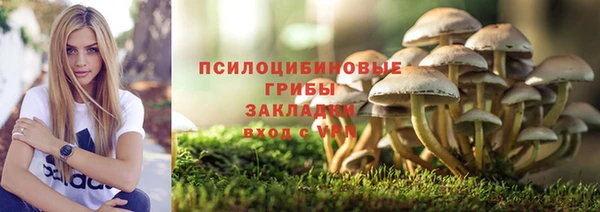 a pvp Алзамай