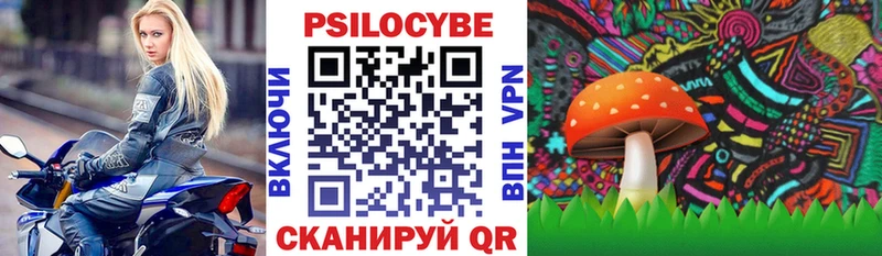 Псилоцибиновые грибы прущие грибы  нарко площадка какой сайт  OMG tor  Лесосибирск  купить  сайты 